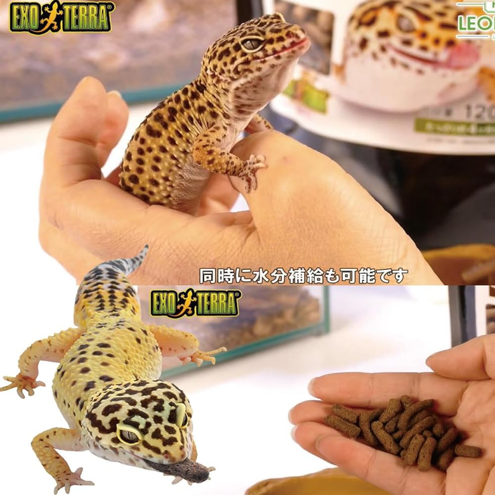 Amazon | ジェックス レオパブレンド フード トカゲ ヤモリ 爬虫類 餌